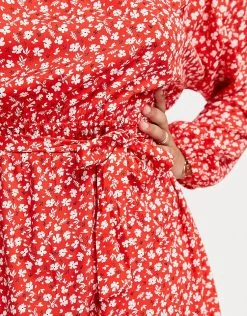Wednesday's Girl Curve Long Sleeve Tie Waist Swing Dress In Red Ditsy Floral For Women -Wednesday's Girl Sales 2022 unnamed file 162